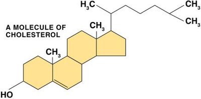 Cholesterol molecule structure