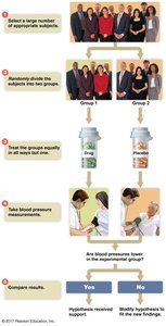 Steps of a controlled experiment