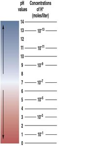The pH scale