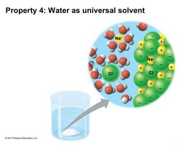 Water dissolving salt to form a solution