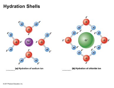 Hydration shells around sodium and chloride ions