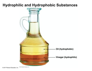 Hydrophilic and hydrophobic substances: oil and vinegar