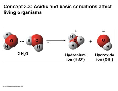 Ionization of water forming hydronium and hydroxide ions