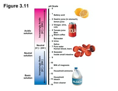 pH scale with examples of acidic, neutral, and basic solutions