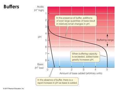 Graph showing buffer action and pH changes
