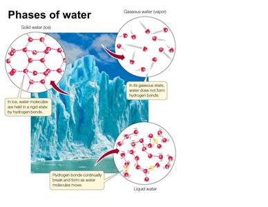 Phases of water: solid, liquid, and gas with hydrogen bonding