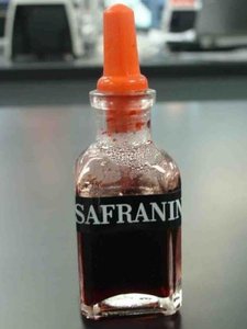 Safranin dye used as counterstain in Gram staining