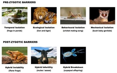 Examples of prezygotic and postzygotic barriers