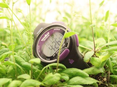 Watch among plants, symbolizing biological clock