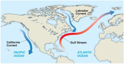 Major ocean currents: Gulf Stream, California Current, Labrador Current