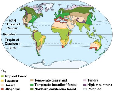 World map of major terrestrial biomes