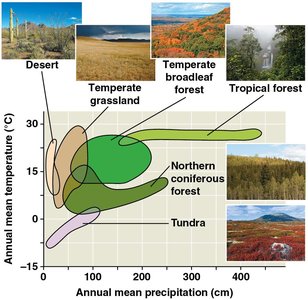 Climograph showing temperature and precipitation ranges for major biomes
