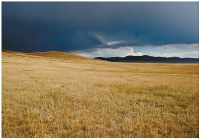 Temperate grassland
