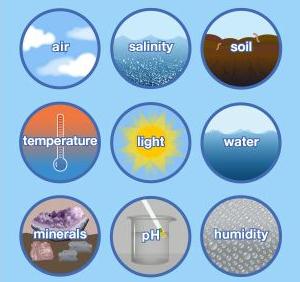 Major abiotic factors: air, salinity, soil, temperature, light, water, minerals, pH, humidity