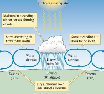 Air circulation and precipitation patterns (Hadley cells)