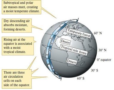 Global air circulation cells and biome distribution