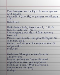 Handwritten notes on photosynthesis, genetics, and evolution