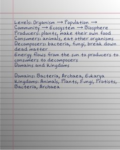 Handwritten notes on ecology, energy flow, and classification