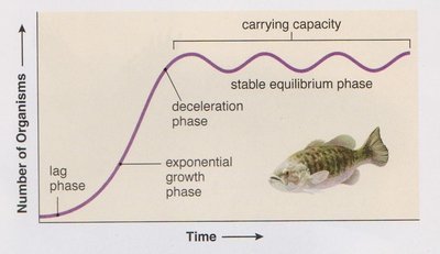 Logistic growth curve showing lag, exponential, deceleration, and stable equilibrium phases