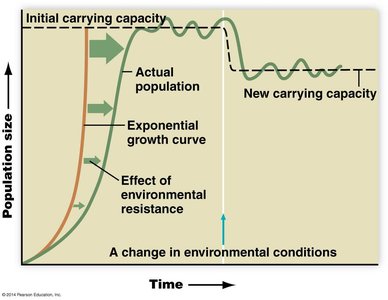 Graph showing carrying capacity, environmental resistance, and population size over time