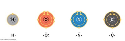 Valence electrons of H, O, N, C