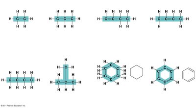 Variation in carbon skeletons
