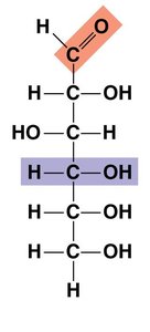 Glucose with functional groups highlighted