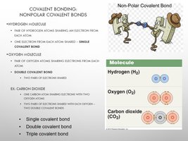 Nonpolar covalent bonds
