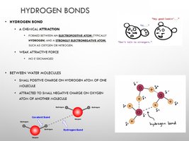Hydrogen bonds
