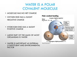 Water as a polar covalent molecule