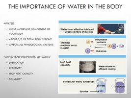 Importance of water in the body