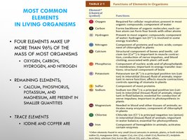 Most Common Elements in Living Organisms