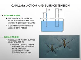 Capillary action and surface tension