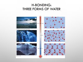 Three forms of water