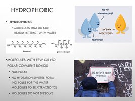 Hydrophobic molecules
