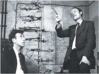 Watson and Crick with DNA helix model