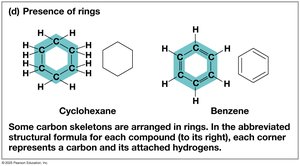 Presence of rings in carbon skeletons