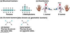 Types of isomers: structural, cis-trans, enantiomers