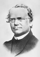 Mendel and colleagues