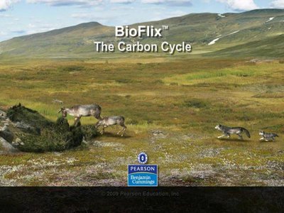 BioFlix The Carbon Cycle