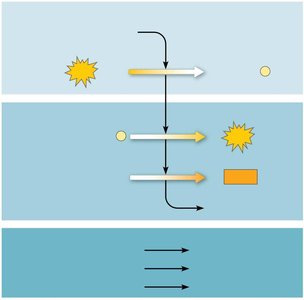 Glycolysis energy investment and payoff