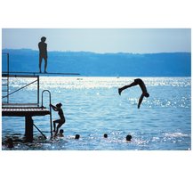 Potential and kinetic energy transformation in diving