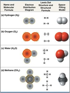 Covalent bonding in four molecules