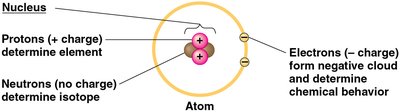 Atom components summary
