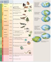 Geological time scale with major evolutionary events and continental configurations