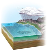 Diagram showing the carbon cycle and weathering processes on early Earth