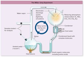 Diagram of the Miller-Urey experiment setup