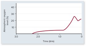 Graph of atmospheric oxygen levels over time