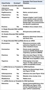 Table of animal virus classes and examples