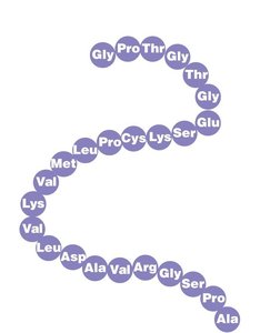 Primary structure diagram